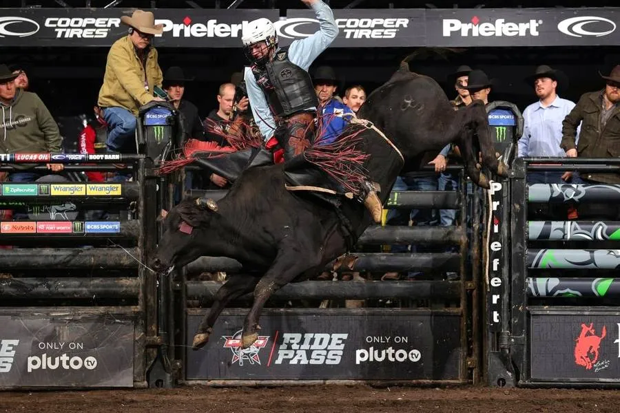 Wild Bunch bull riding at PBR